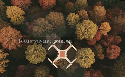 数据洞察：放大镜照出报表里的隐藏趋势。